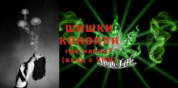 дурь Вяземский