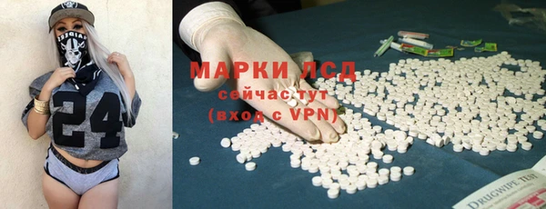 гидра Наволоки