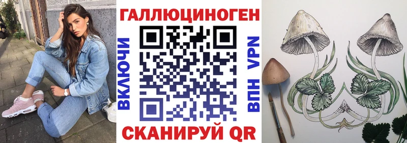 Псилоцибиновые грибы Cubensis Пласт